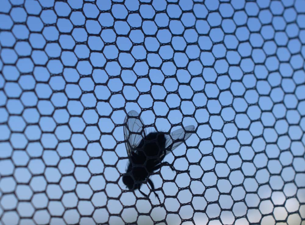 Insektenschutz für Fenster und Türen im Pinzgau